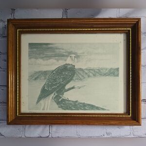 Vintage Eagle and mountain pencil sketch framed print By Gainis 54/900